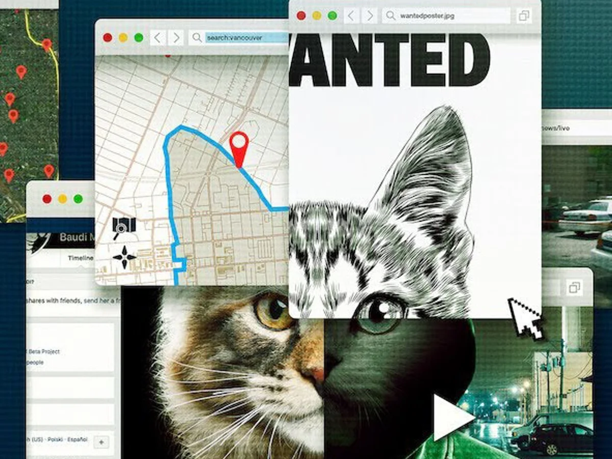 Click, Clue, Capture: How the Internet Tracked Down a Killer